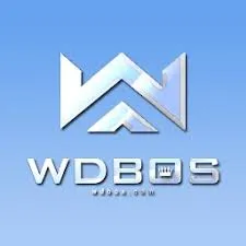 WDBOS - Aplikasi Bingo Terbaik untuk Pengalaman Bermain Seru